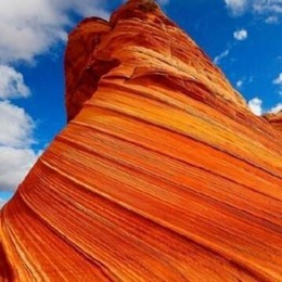 LongPort - 源之谷港美股