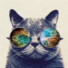 LongPort - 少帅铁柱