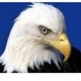 Longbridge - 乐哥价值投机