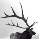 LongPort - 喂喂way