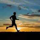 LongPort - 稻香丰年