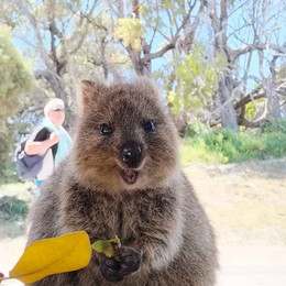 LongPort - BillionaireQ