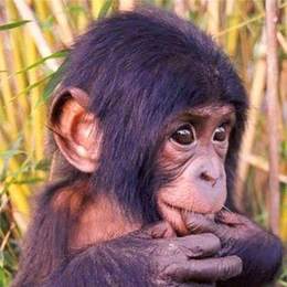 LongPort - majorjohn