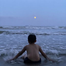 LongPort - 江豚投研