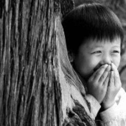 LongPort - 互联网那些事