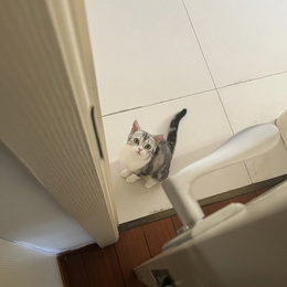 LongPort - 闷就完事了