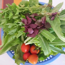 LongPort - 一家机主