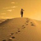 LongPort - lose yourself