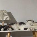 LongPort - Martinnnn