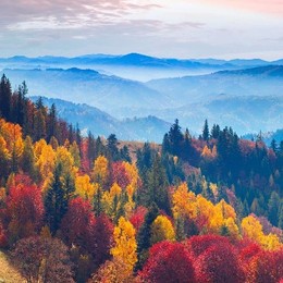 LongPort - Hipengpeng