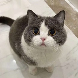 LongPort - 新用户_TRN4xgaaa