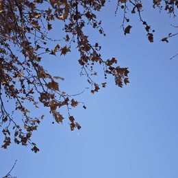 LongPort - 逢高重仓逢低空仓