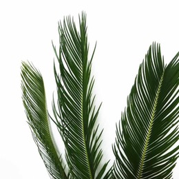 LongPort - 赶本中15个