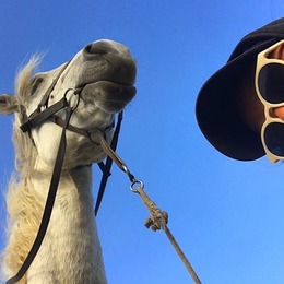 LongPort - K先生123