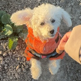 LongPort - 月光酱