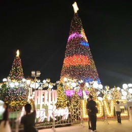 LongPort - 新用户_VxBcmm