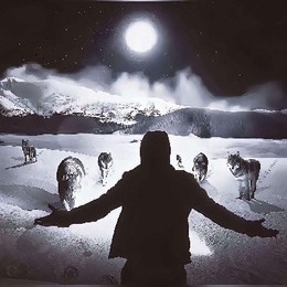 LongPort - 狼图腾