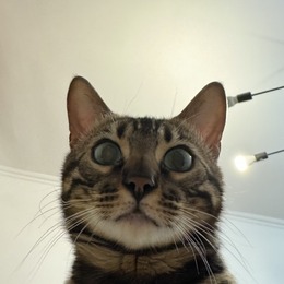 天才超级交易员