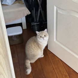 LongPort - 李梓仙