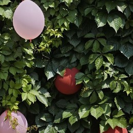 LongPort - TabloJhin