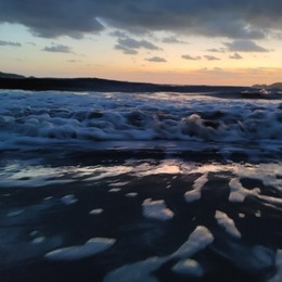 LongPort - always_gro