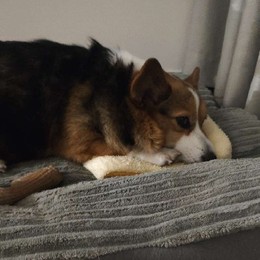 LongPort - 韭菜之王王王