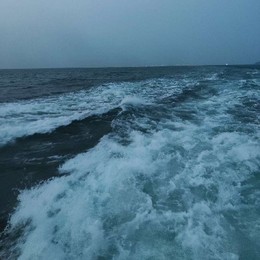 LongPort - 囍帖街