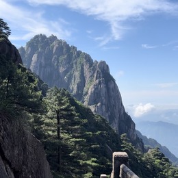 LongPort - 不在买港股