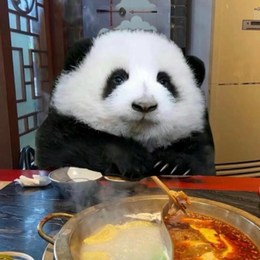 LongPort - 熊猫小可爱