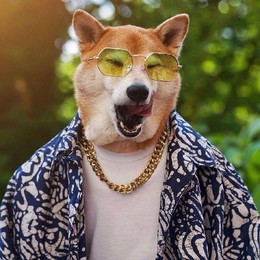 LongPort - 路易Snoopy