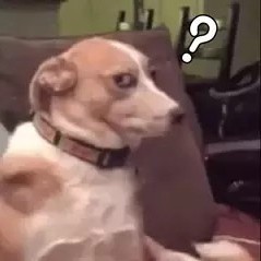 LongPort - 知名游资mur猫