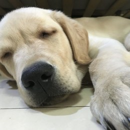 LongPort - Xavierfun