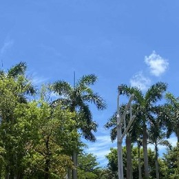 LongPort - 发财2025