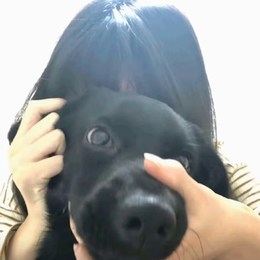 LongPort - 梭哈是大智慧