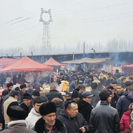 LongPort - 新用户sx