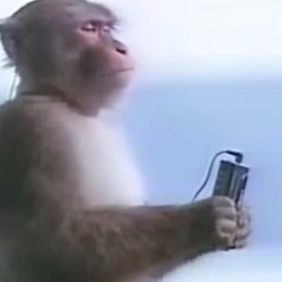 LongPort - 科技泡面