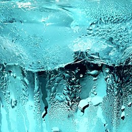 LongPort - 大龙街韭黄