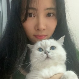 LongPort - 发财猫