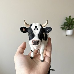 LongPort - 小五儿