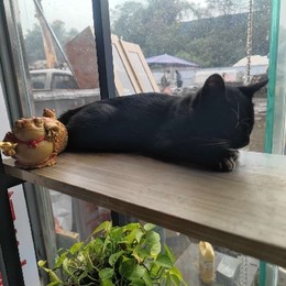 Longbridge - 是个好名字