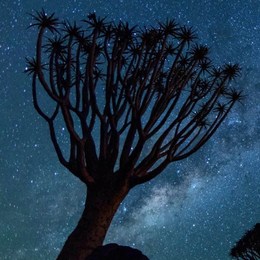 LongPort - 不喜食面