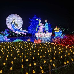 LongPort - 读书郎的小金库