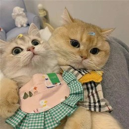好运喵