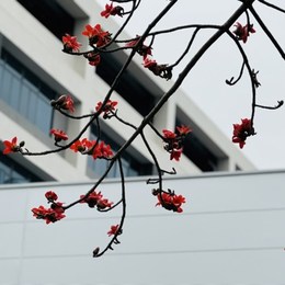 LongPort - 一杯拿铁