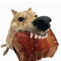 LongPort - 进击的菜鸟