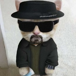 LongPort - 顺为投资