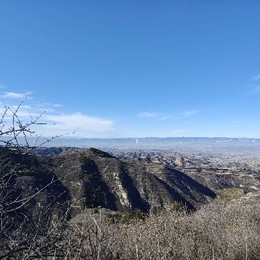 LongPort - 冠林不要裸空