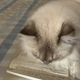 LongPort - 喵读万卷书