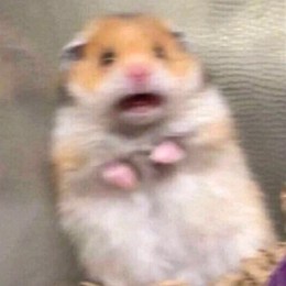 LongPort - 华尔街街道办事处网格