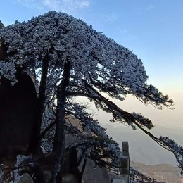 LongPort - 开心918